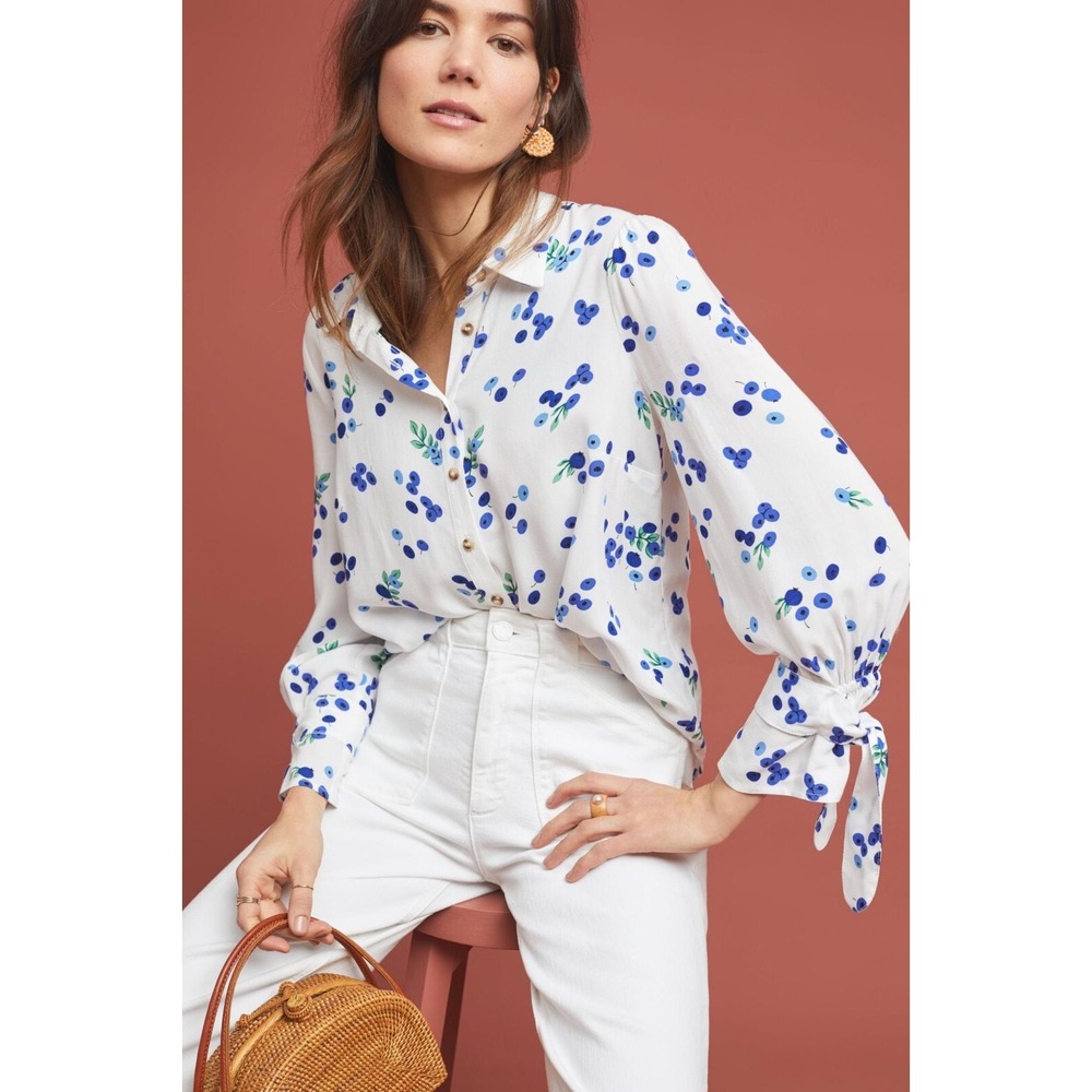 Anthropologie Maeve Blithe Blueberry Button Down Blouse Size 4 Novelty Preppy